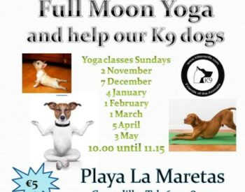 Full Moon Yoga 2025/2026 Full Moon Yoga 2025/2026